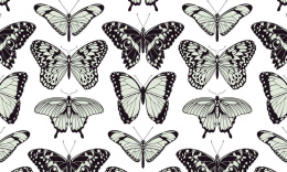 Eco-Wand-Tapete Schmetterling