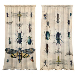 Insect Route curtain set