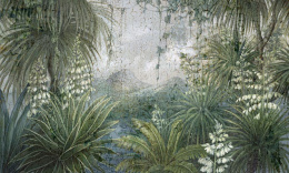 Yucca wallpaper