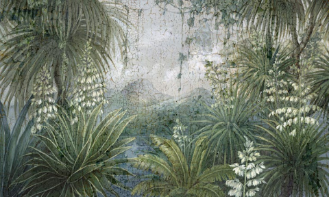 Yucca wallpaper
