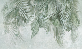 Areca wallpaper from Wonderwall Studio