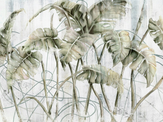 Monstera wallpaper by Wallcraft