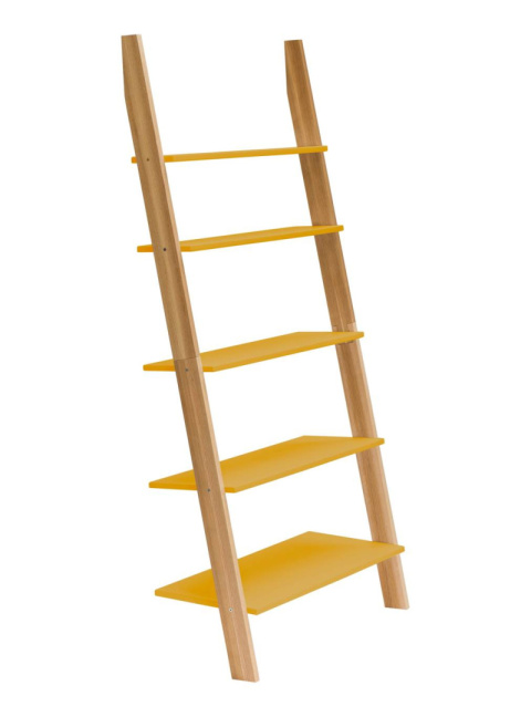 Bookcase Ladder ASHME 85x35x180cm