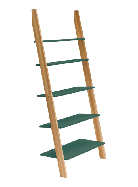 Bookcase Ladder ASHME 85x35x180cm