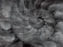Tapeta ścienna Fosillium od Wallcraft Art. 405 33 2101 szara