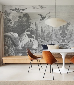 Black  Swans wallpaper by Wallcolors