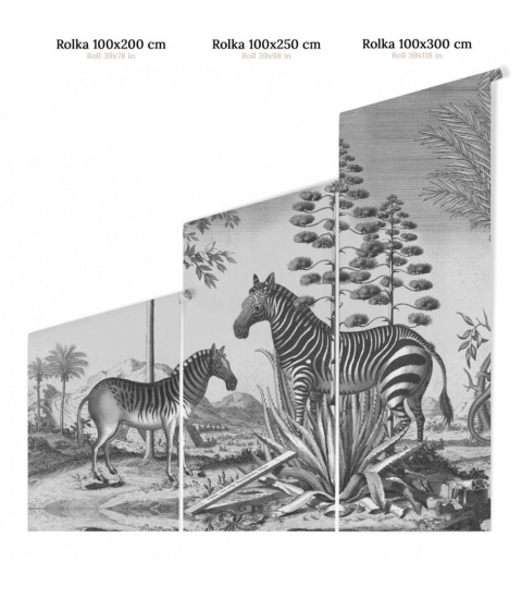 Zebra On Agave wallpaper by Wallcolors