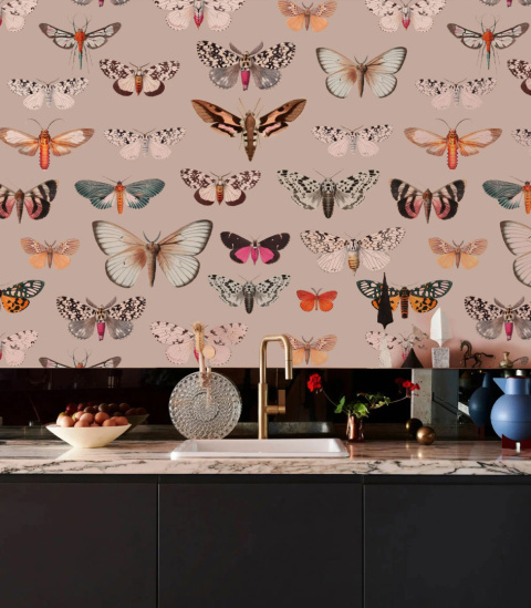 Tapeta Colorful Butterfly Pink od Wallcolors