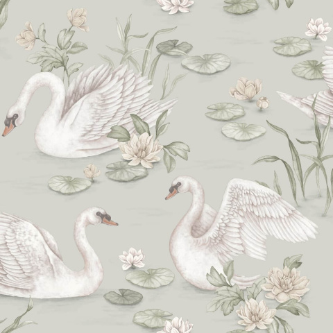 Swan Wallpaper Newbie II 6925  Lily Swan