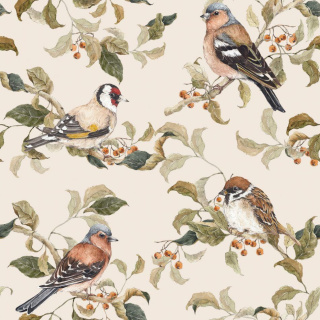 Birds Autumn Tapeta