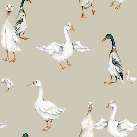 White Ducks Tapeta