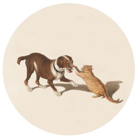 Dekoracja ścienna - Mural DOTS -Koci pstryczek