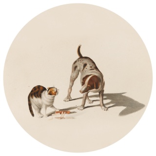 Dekoracja ścienna - Mural DOTS -Nie dla psa ta kość