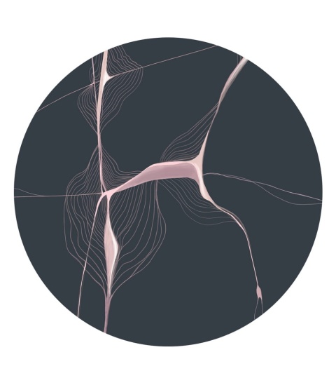 Wall decoration - mural DOTS Organic Lines