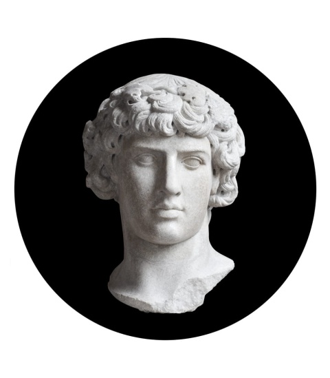 Wall decoration - mural DOTS Black David