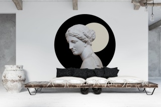 Wall decoration - mural DOTS Venus with the Moon