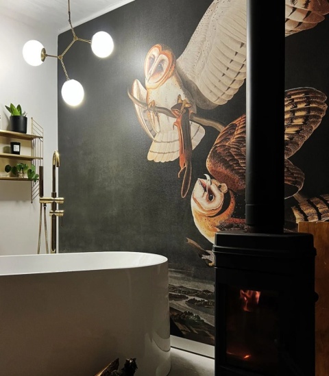 Owls Tapete von Wallcolors