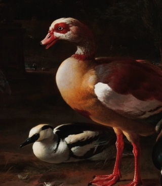 Tapeta Art Birds od Wallcolors