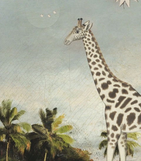 Stardust safari Tapete von Wallcolors