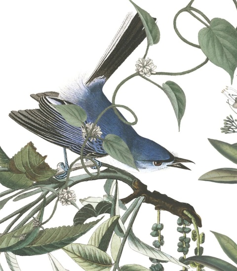 Tapeta Flying Birds od Wallcolors