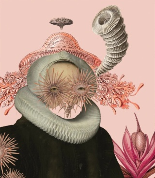 Lady Medusa Pink wallpaper by Wallcolors