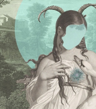 Zodiac Muse wallpaper by Wallcolors