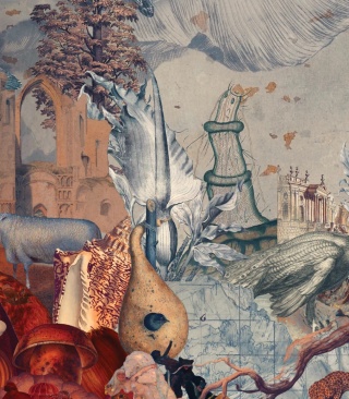 Kingdom of All Creatures wallpaper by Wallcolors