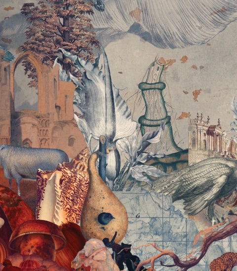 Tapeta Kingdom of All Creatures od Wallcolors