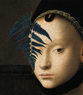 Tapeta Lady fern od Wallcolors