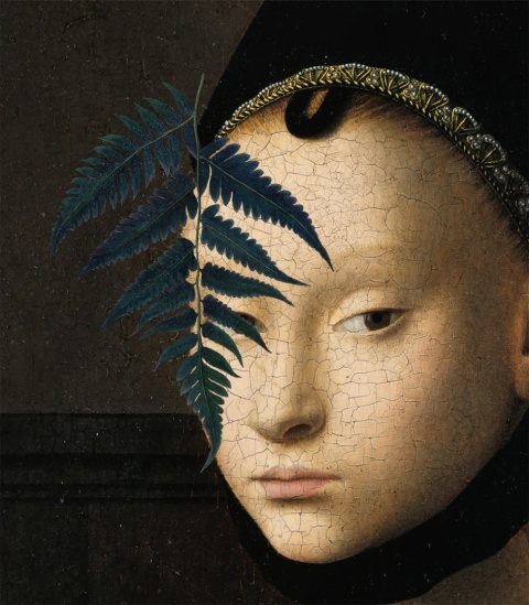 Lady fern Tapete von Wallcolors