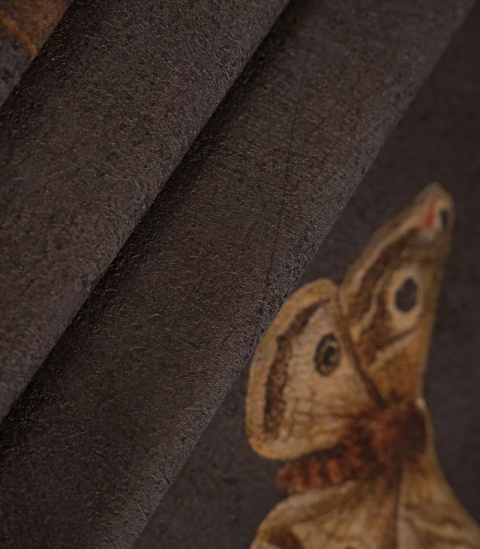 Tapeta Gentleman Moth od Wallcolors