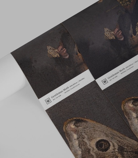 Tapeta Gentleman Moth od Wallcolors