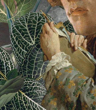 Tapeta Green man od Wallcolors