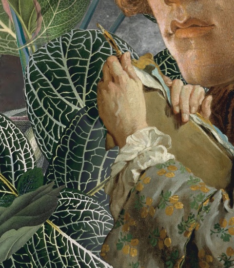 Green man Tapete von Wallcolors
