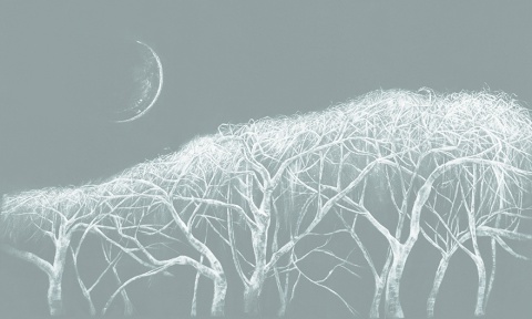 Elaris wallpaper from Wonderwall Studio Art. 35 0580 03