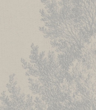 Tapeta Whispering Trees Blue od Wallcolors