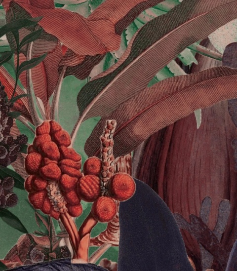 Tapeta Garden of Depths od Wallcolors