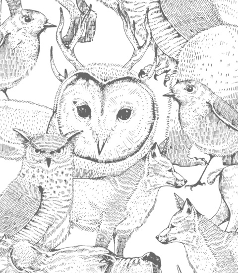 Tapeta Forest Friends Grey od Wallcolors
