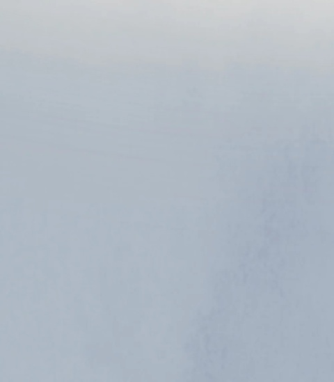 Tapeta Ombre Mist od Wallcolors