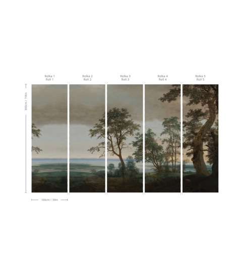 Tapeta Evening Grove od Wallcolors