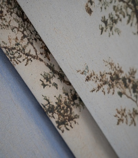 Tapeta Evening Grove od Wallcolors
