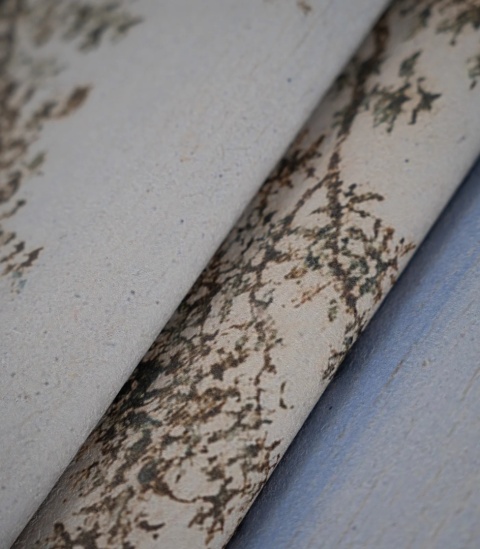 Tapeta Evening Grove od Wallcolors