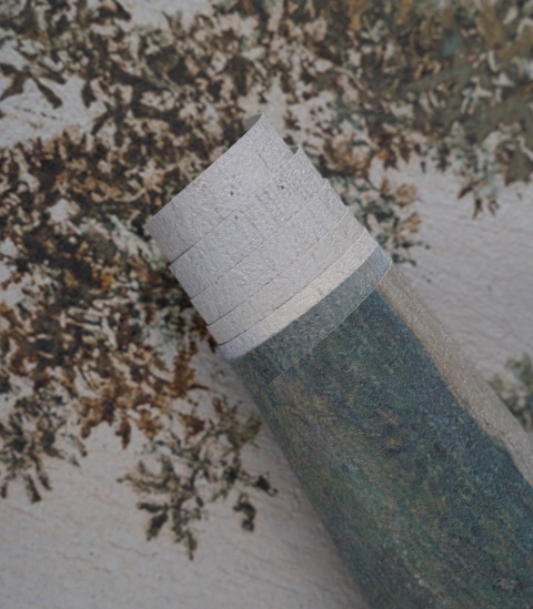 Tapeta Evening Grove od Wallcolors