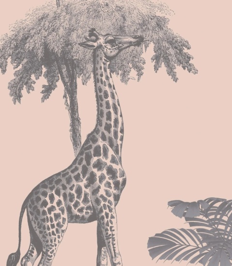 Tapeta Vintage Animals Pink od Wallcolors