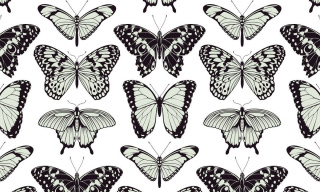 Eco wall wallpaper BUTTERFLY