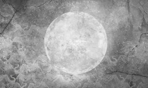 Mond Wand Wallpaper