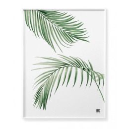 Exotic Leaves Poster