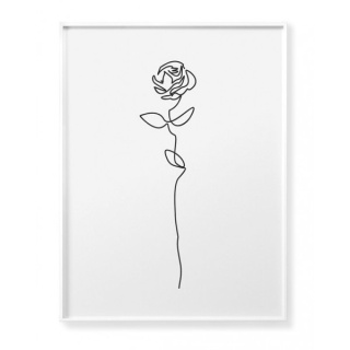 Rose Contour Poster