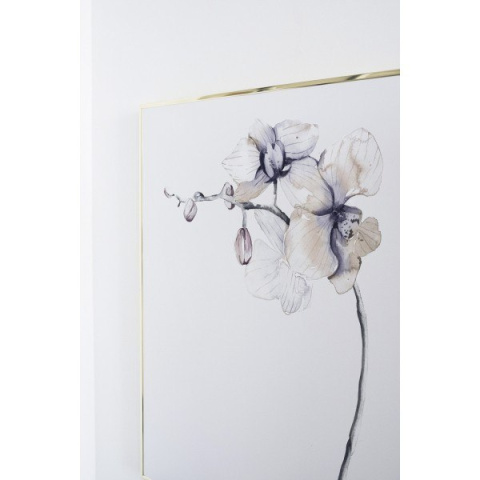 Orchidee Blume Poster