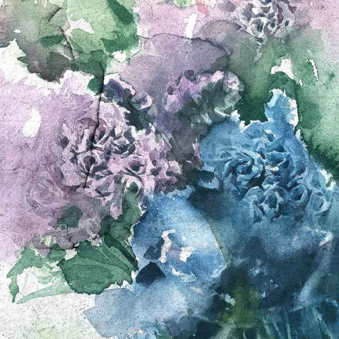 Wallpaper Limonium